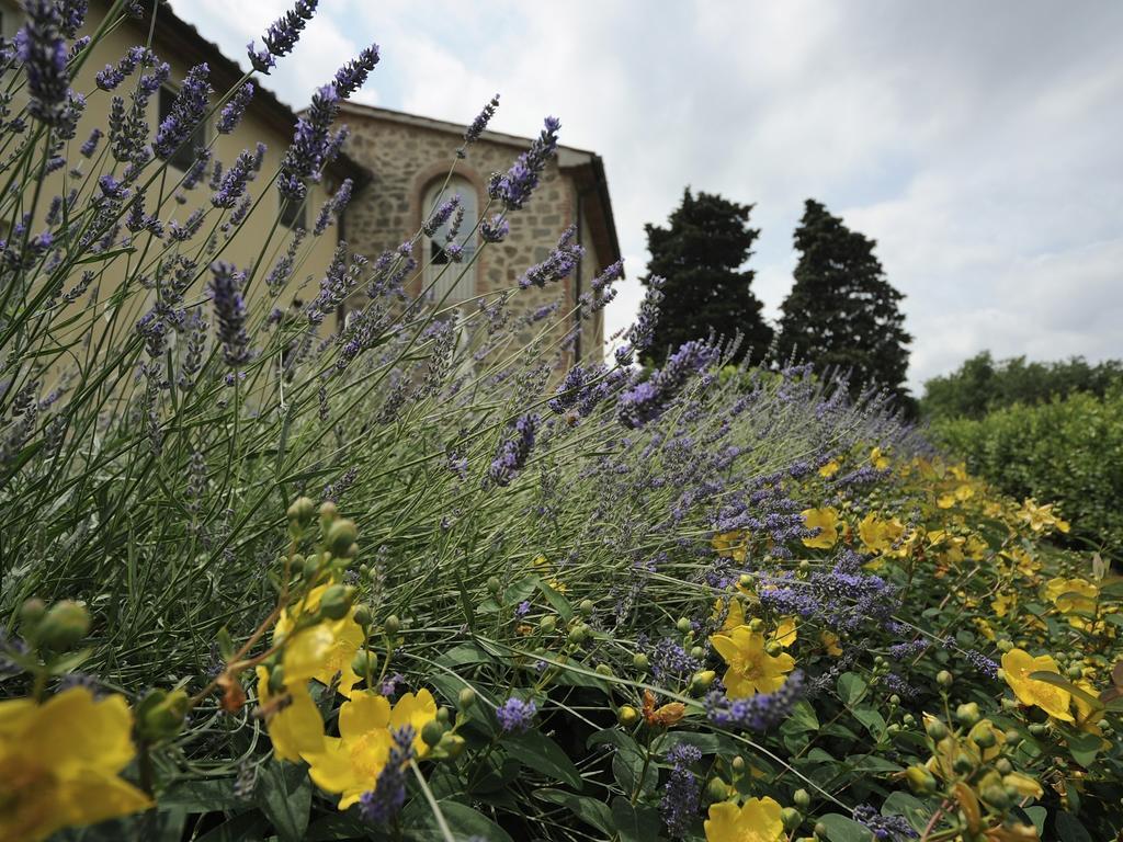 Borgo Casalvento Guest House Cantagrillo Exterior foto
